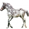 https://www.americanbreeder.com/images/com_adsmanager/categories/1004cat_t.jpg