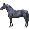 https://www.americanbreeder.com/images/com_adsmanager/categories/1007cat_t.jpg