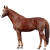 https://www.americanbreeder.com/images/com_adsmanager/categories/1013cat_t.jpg