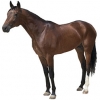 https://www.americanbreeder.com/images/com_adsmanager/categories/1027cat_t.jpg
