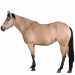https://www.americanbreeder.com/images/com_adsmanager/categories/1037cat_t.jpg