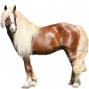 https://www.americanbreeder.com/images/com_adsmanager/categories/1050cat_t.jpg