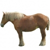https://www.americanbreeder.com/images/com_adsmanager/categories/1052cat_t.jpg
