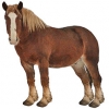 https://www.americanbreeder.com/images/com_adsmanager/categories/1056cat_t.jpg