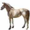 https://www.americanbreeder.com/images/com_adsmanager/categories/1058cat_t.jpg