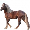 https://www.americanbreeder.com/images/com_adsmanager/categories/1069cat_t.jpg