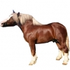 https://www.americanbreeder.com/images/com_adsmanager/categories/1071cat_t.jpg