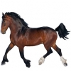https://www.americanbreeder.com/images/com_adsmanager/categories/1076cat_t.jpg