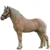https://www.americanbreeder.com/images/com_adsmanager/categories/1080cat_t.jpg
