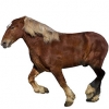 https://www.americanbreeder.com/images/com_adsmanager/categories/1084cat_t.jpg