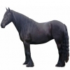 https://www.americanbreeder.com/images/com_adsmanager/categories/1087cat_t.jpg