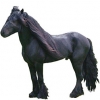 https://www.americanbreeder.com/images/com_adsmanager/categories/1091cat_t.jpg