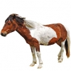 https://www.americanbreeder.com/images/com_adsmanager/categories/1100cat_t.jpg