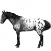 https://www.americanbreeder.com/images/com_adsmanager/categories/1108cat_t.jpg