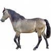 https://www.americanbreeder.com/images/com_adsmanager/categories/1112cat_t.jpg