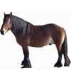 https://www.americanbreeder.com/images/com_adsmanager/categories/1118cat_t.jpg