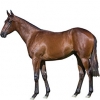 https://www.americanbreeder.com/images/com_adsmanager/categories/1127cat_t.jpg