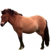 https://www.americanbreeder.com/images/com_adsmanager/categories/1129cat_t.jpg