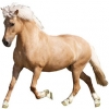 https://www.americanbreeder.com/images/com_adsmanager/categories/1136cat_t.jpg
