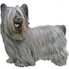 https://www.americanbreeder.com/images/com_adsmanager/categories/113cat_t.jpg