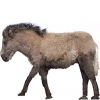 https://www.americanbreeder.com/images/com_adsmanager/categories/1141cat_t.jpg