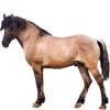 https://www.americanbreeder.com/images/com_adsmanager/categories/1150cat_t.jpg