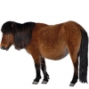 https://www.americanbreeder.com/images/com_adsmanager/categories/1151cat_t.jpg