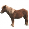 https://www.americanbreeder.com/images/com_adsmanager/categories/1157cat_t.jpg