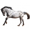 https://www.americanbreeder.com/images/com_adsmanager/categories/1160cat_t.jpg