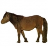 https://www.americanbreeder.com/images/com_adsmanager/categories/1161cat_t.jpg