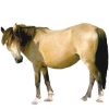 https://www.americanbreeder.com/images/com_adsmanager/categories/1166cat_t.jpg