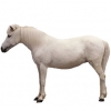 https://www.americanbreeder.com/images/com_adsmanager/categories/1167cat_t.jpg