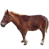 https://www.americanbreeder.com/images/com_adsmanager/categories/1177cat_t.jpg