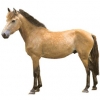 https://www.americanbreeder.com/images/com_adsmanager/categories/1184cat_t.jpg