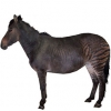 https://www.americanbreeder.com/images/com_adsmanager/categories/1199cat_t.jpg