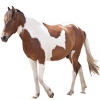 https://www.americanbreeder.com/images/com_adsmanager/categories/1204cat_t.jpg