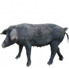 https://www.americanbreeder.com/images/com_adsmanager/categories/1226cat_t.jpg