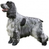 https://www.americanbreeder.com/images/com_adsmanager/categories/127cat_t.jpg