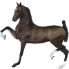 https://www.americanbreeder.com/images/com_adsmanager/categories/1287cat_t.jpg