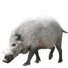 https://www.americanbreeder.com/images/com_adsmanager/categories/1293cat_t.jpg