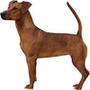 https://www.americanbreeder.com/images/com_adsmanager/categories/161cat_t.jpg