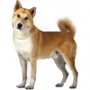 https://www.americanbreeder.com/images/com_adsmanager/categories/192cat_t.jpg