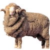 https://www.americanbreeder.com/images/com_adsmanager/categories/2186cat_t.jpg