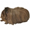 https://www.americanbreeder.com/images/com_adsmanager/categories/2205cat_t.jpg
