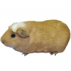 https://www.americanbreeder.com/images/com_adsmanager/categories/2209cat_t.jpg