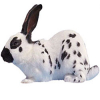 https://www.americanbreeder.com/images/com_adsmanager/categories/2247cat_t.jpg