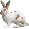 https://www.americanbreeder.com/images/com_adsmanager/categories/2248cat_t.jpg