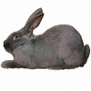 https://www.americanbreeder.com/images/com_adsmanager/categories/2251cat_t.jpg