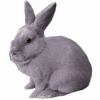 https://www.americanbreeder.com/images/com_adsmanager/categories/2268cat_t.jpg