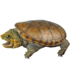 https://www.americanbreeder.com/images/com_adsmanager/categories/2325cat_t.jpg